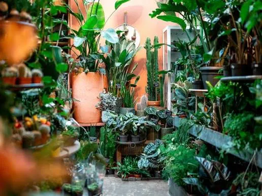 Foto van Green fingers