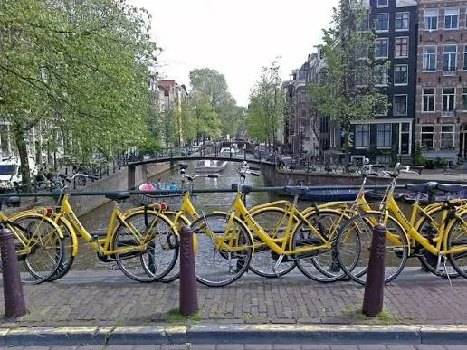Photo of Yellow Bike Tours & Rental