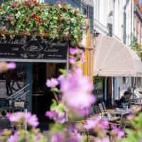 De Bruine Boon Leiden
