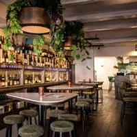 THE HARLEM SOCIAL CLUB – Wine Bar & Kitchen