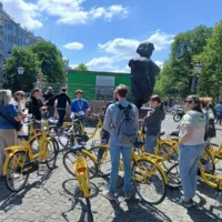 Yellow Bike Tours and Rental