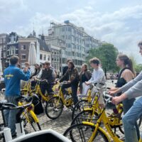 Yellow Bike Tours and Rental