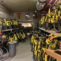 Yellow Bike Tours and Rental