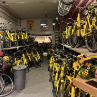 Yellow Bike Tours and Rental